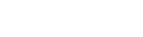 WordPress Blog